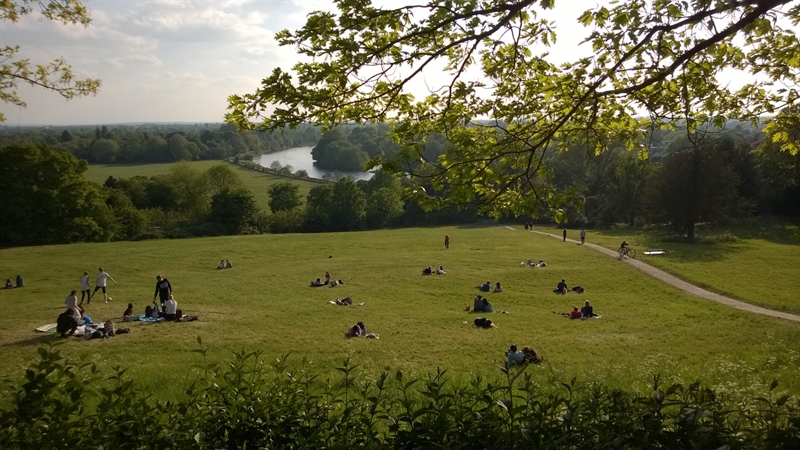 Richmond Terrace Field